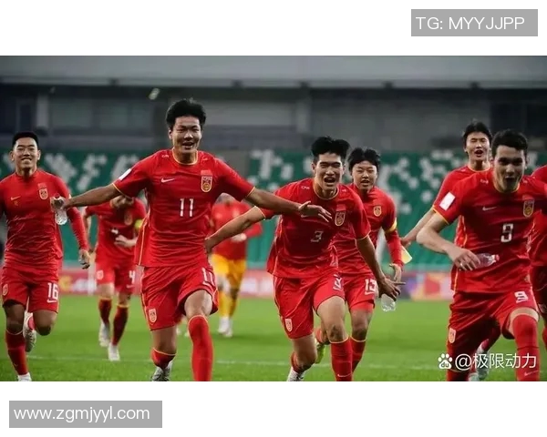 中国足球明星的魅力与风采全景展示图解读