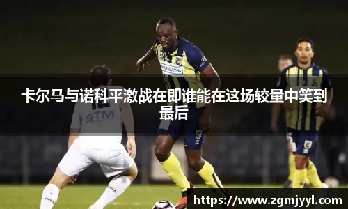 卡尔马与诺科平激战在即谁能在这场较量中笑到最后