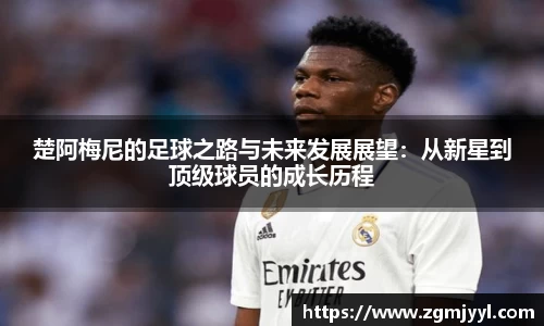 完美体育365官方网站